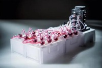 動態3D細胞類器官培養系統